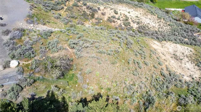 a close up of a plant