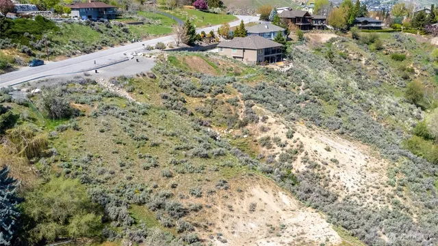 a view of a backyard with plants and outdoor seating