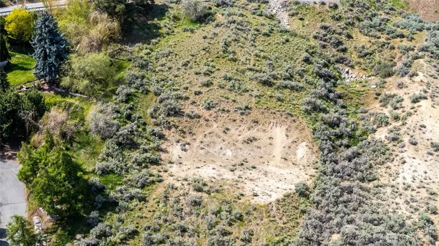 a view of a yard with a plants