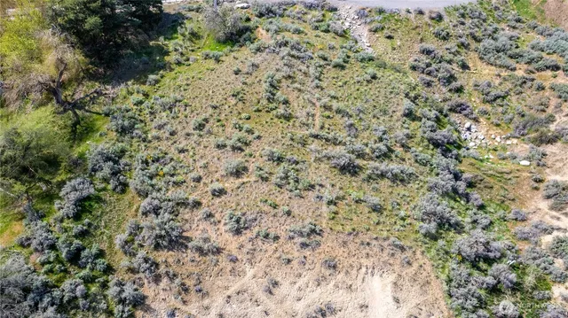 a view of a yard with plants