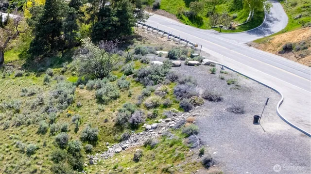 a view of a garden with plants
