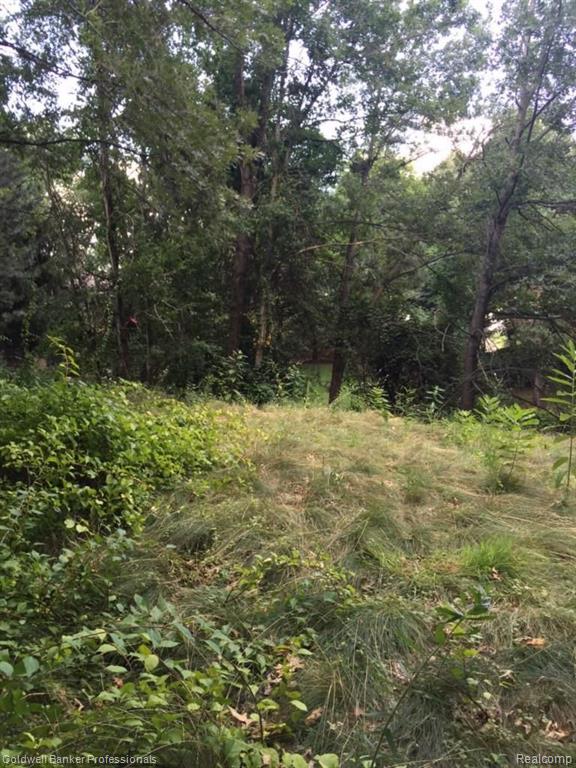 0 Cayuga Road Lake Orion, MI 48362 - Photo 3 of 14