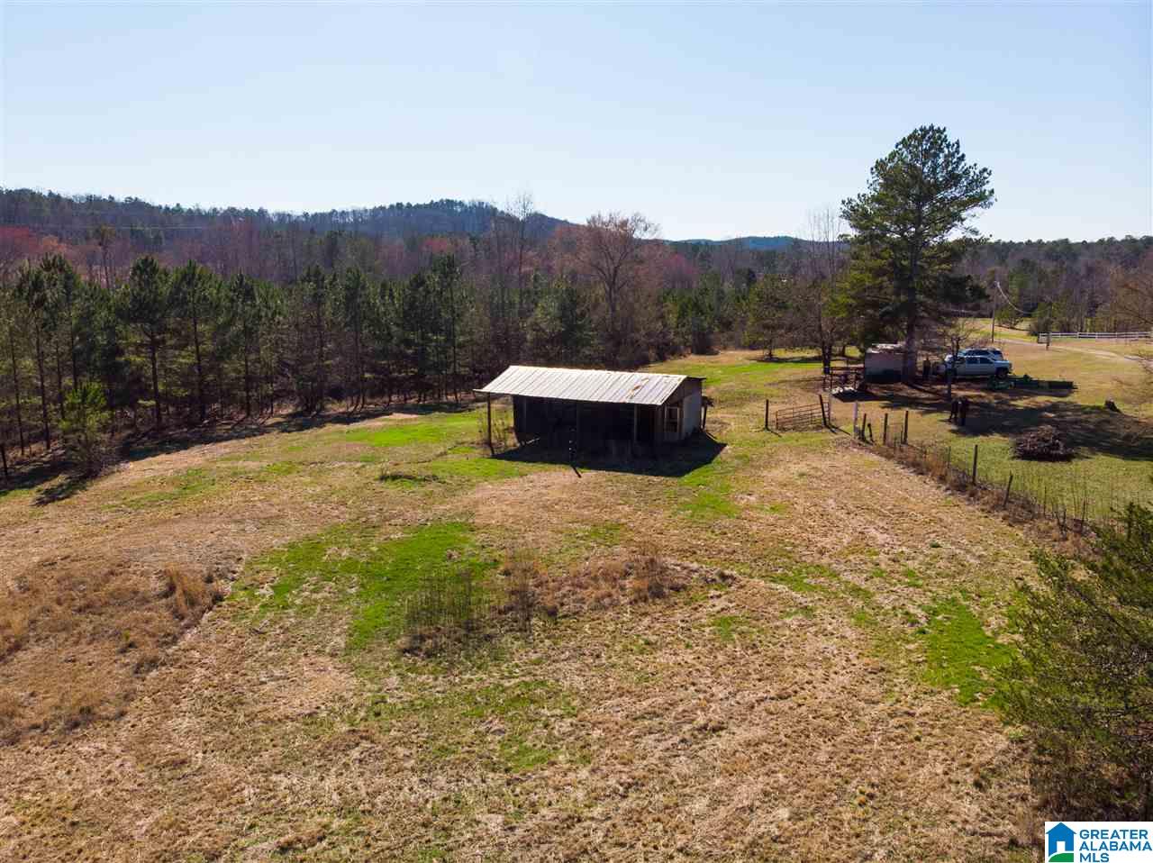 1430 Dripping Rock Road Piedmont, AL 36272 - Photo 9 of 41