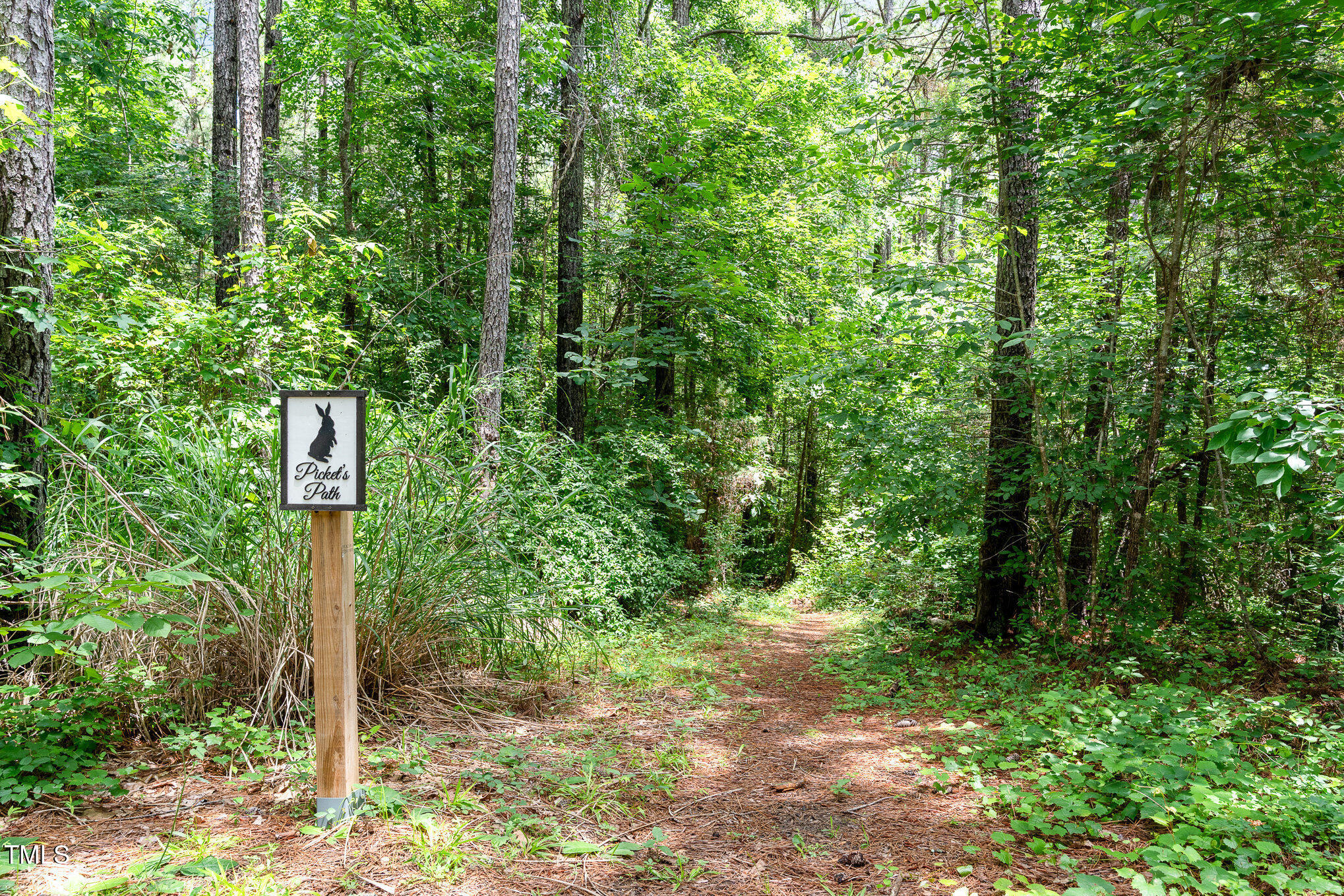 3822 Chicken Bridge Road Pittsboro, NC 27312 - Photo 25 of 29 026_dsc00022-edit_191