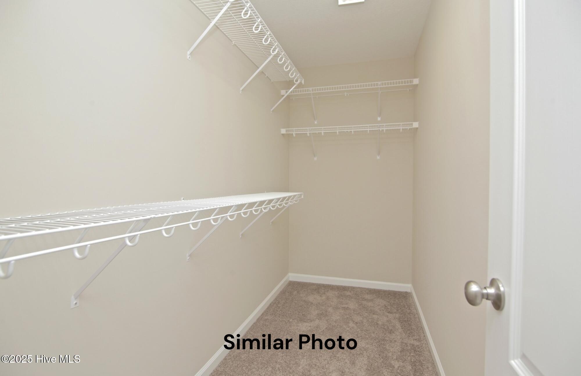 711 Regiment Road Jacksonville, NC 28546 - Photo 16 of 25 Kayley 15