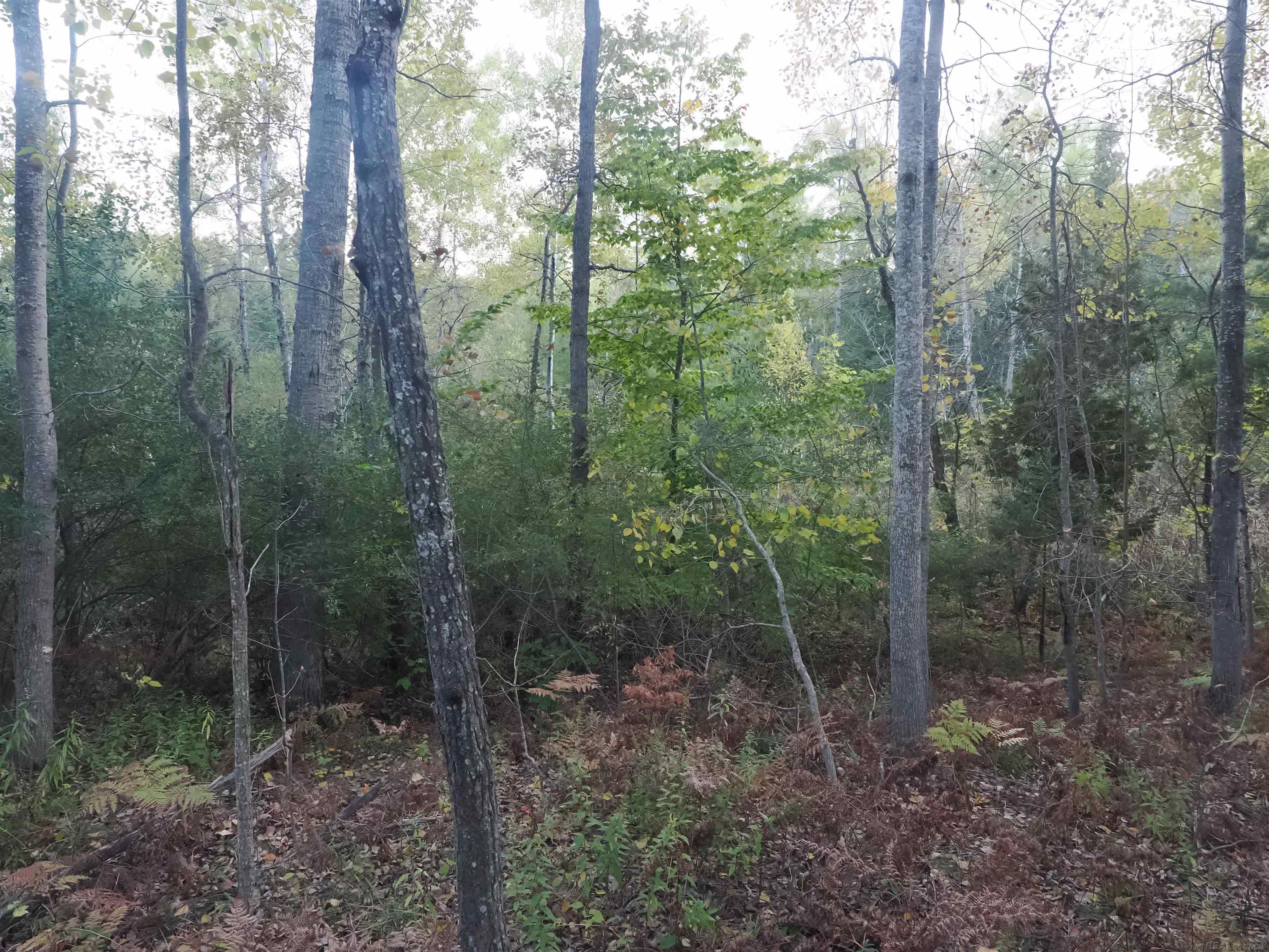 Xxx Tolan Road Spruce, MI 48762 - Photo 32 of 79