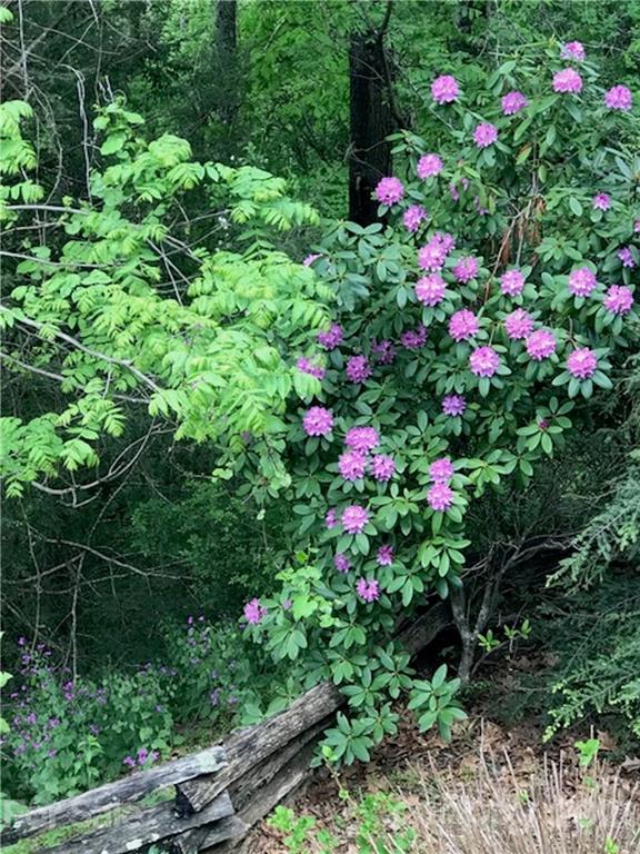 404 Timbuktu Road Sylva, NC 28779 - Photo 37 of 39 Gallery Image 37