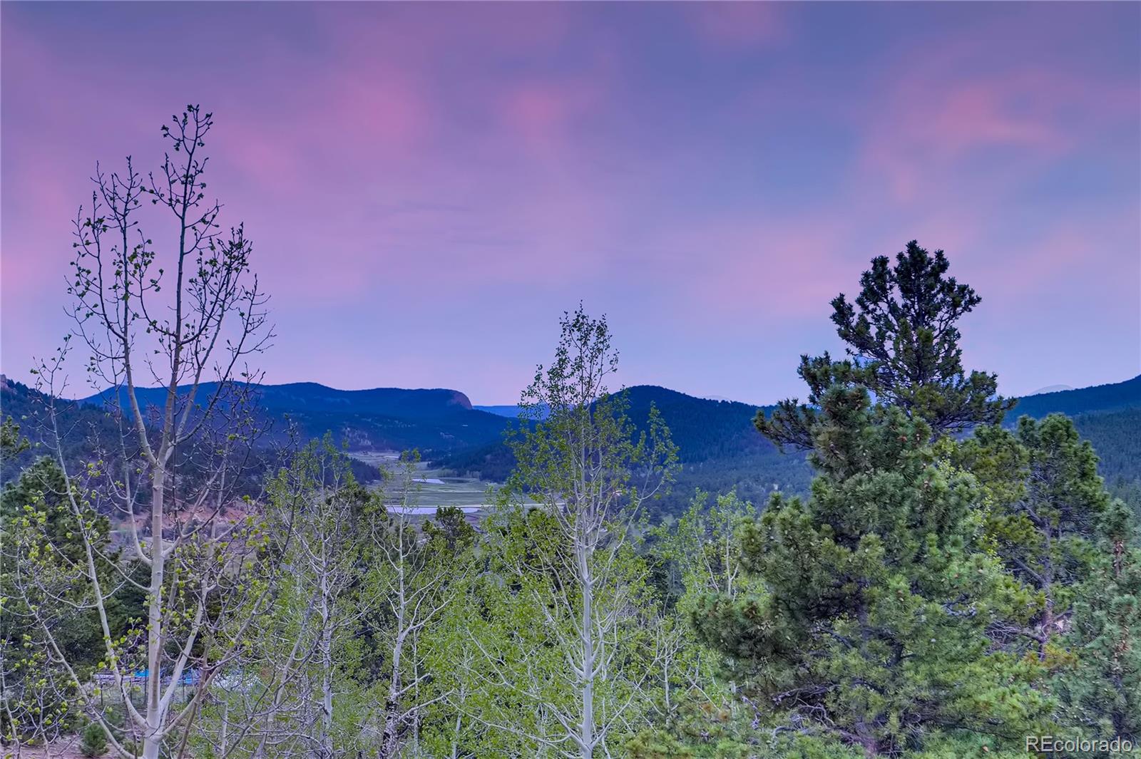 7120 County Road 43 Bailey, CO 80421 - Photo 7 of 37 a view of a lush green field with a tree in front of it