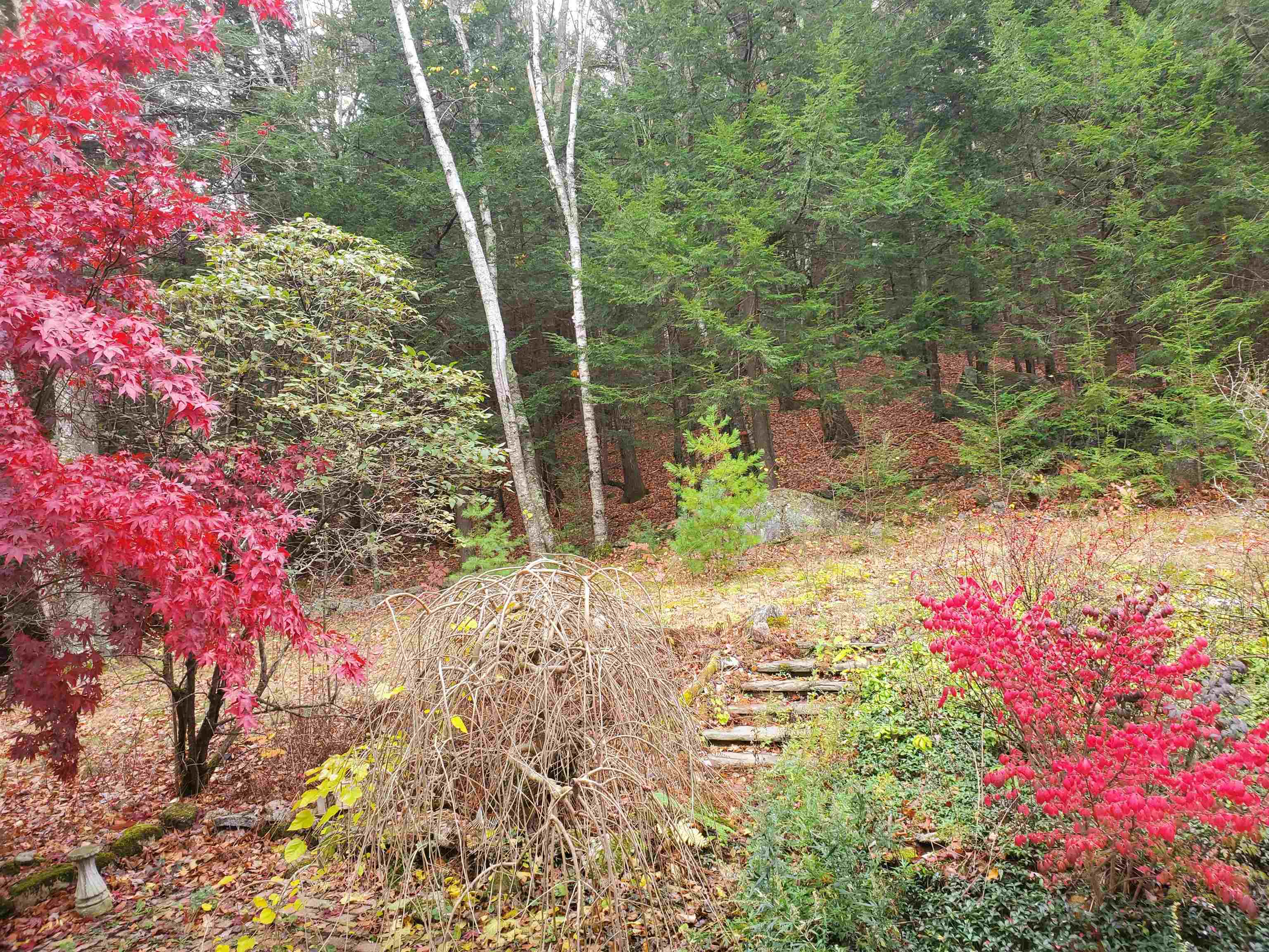 18 Critchett Road Raymond, NH 03077 - Photo 27 of 40