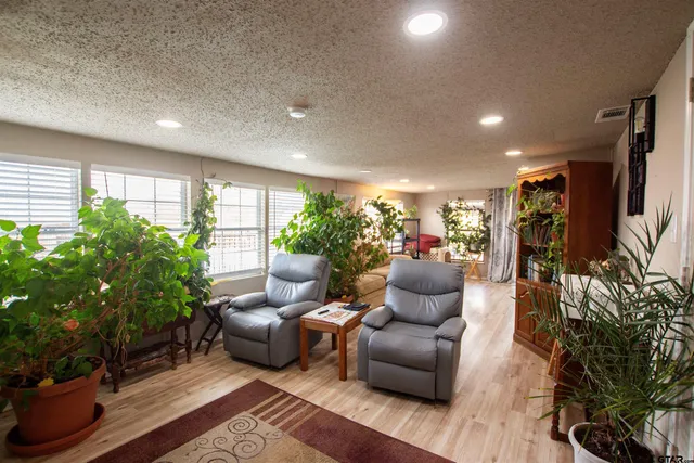 a living room with furniture and a potted plant