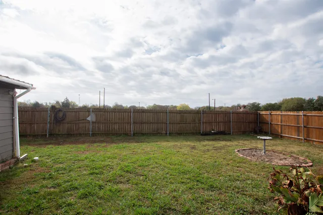 a view of a backyard