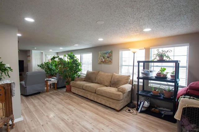 a living room with furniture and a potted plant