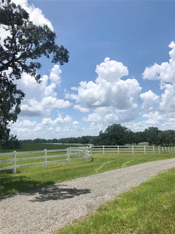 14 Eagle Ridge Bushnell, FL 33513 - Photo 13 of 19 Gallery Image 13