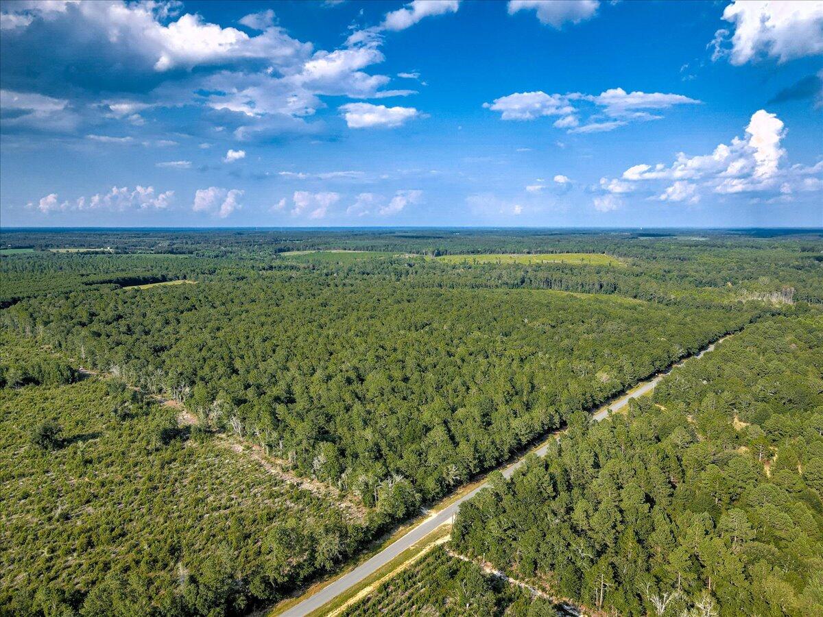 0 Millers Pond Road, Unit 1 Salley, SC 29137 - Photo 7 of 22