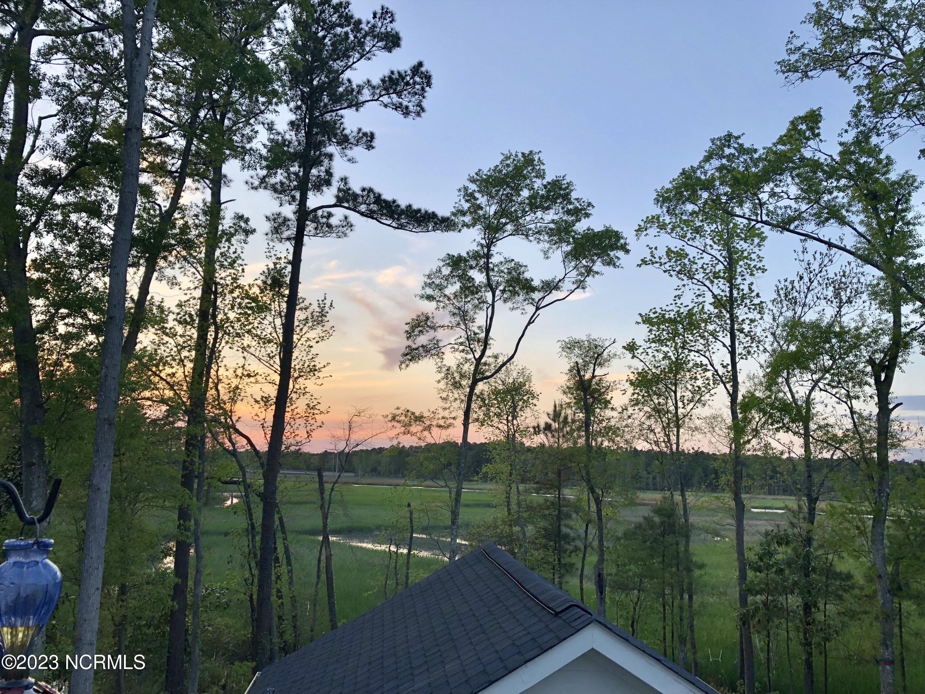 158 Brookhaven Trail Leland, NC 28451 - Photo 47 of 74 Evening view from primary deck