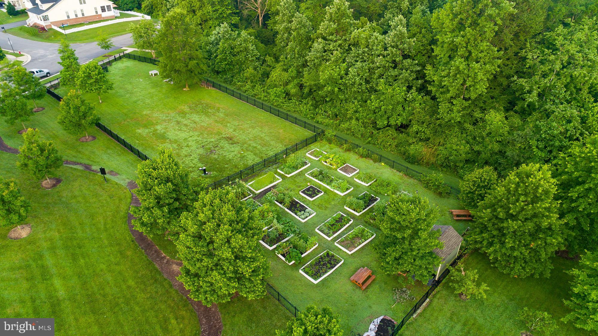 17189 Library Boulevard Ruther Glen, VA 22546 - Photo 47 of 48 Aerial of Community Garden and Dog Park
