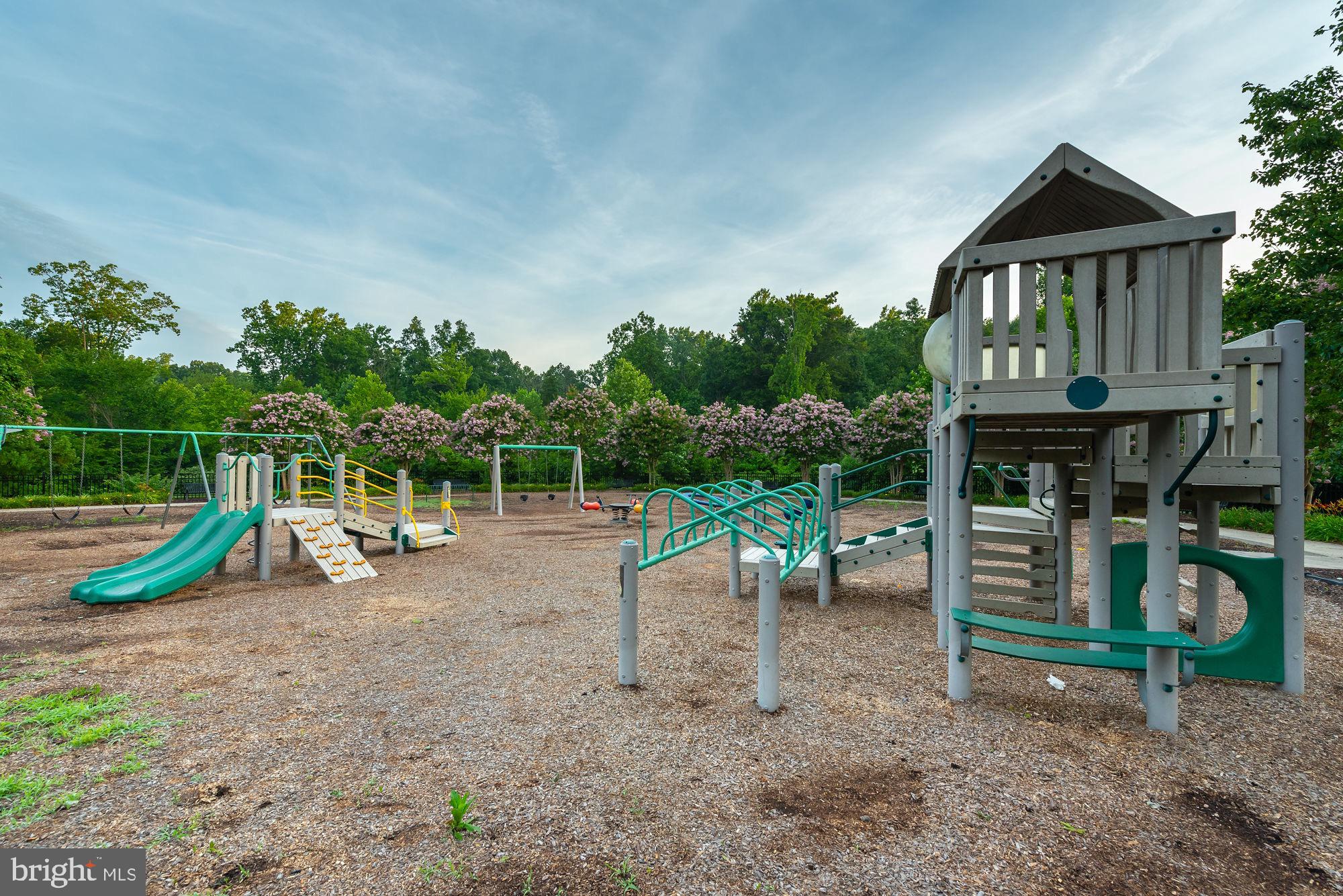 17189 Library Boulevard Ruther Glen, VA 22546 - Photo 48 of 48 Community Playground