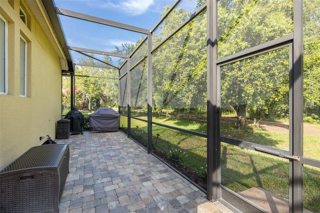 2880 Waters Edge Road Palm Harbor, FL 34685 - Photo 46 of 52