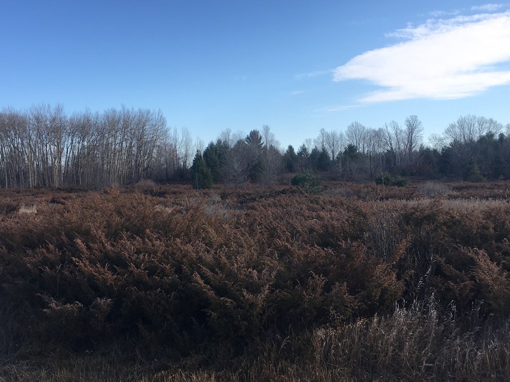 0 Maple Grove Road Fish Creek, WI 54212 - Photo 2 of 5