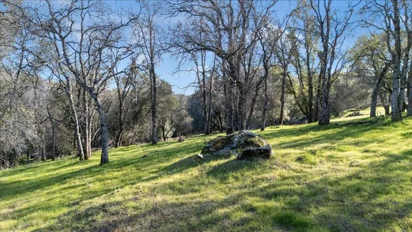 a view of a yard with an trees
