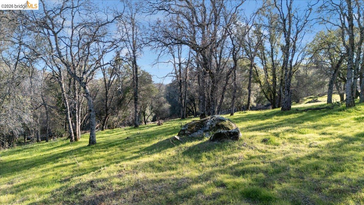 Old Wards Ferry Sonora, CA 95370 - Photo 13 of 18 a view of a park with large trees