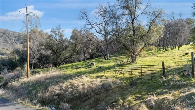 a view of yard with large trees