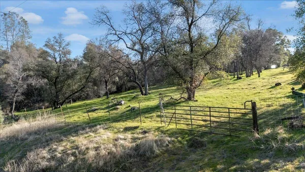 a view of a dry yard with green space