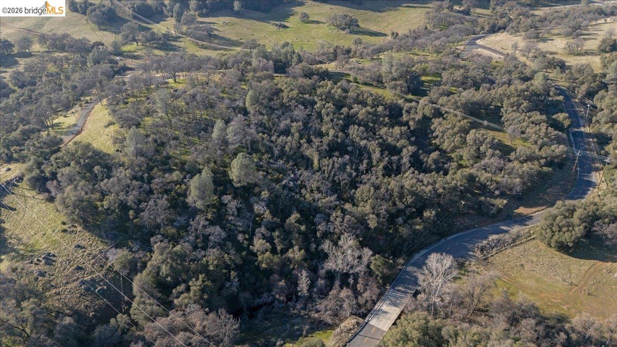 Old Wards Ferry Sonora, CA 95370 - Photo 17 of 18 a view of a forest with a tree