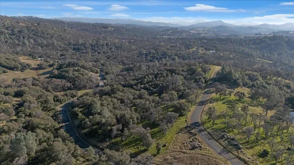 a view of a forest with a mountain