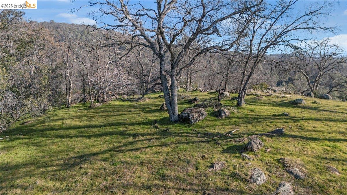 Old Wards Ferry Sonora, CA 95370 - Photo 6 of 18 a view of a park with large trees