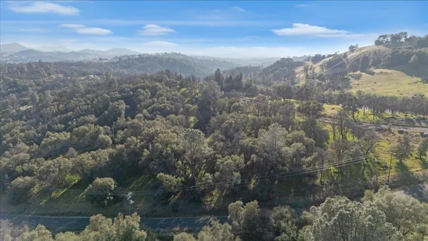 a view of a park with large trees