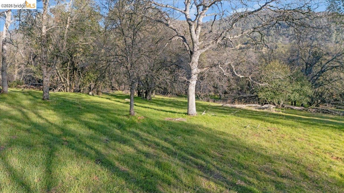 Old Wards Ferry Sonora, CA 95370 - Photo 8 of 18 a view of a park with large trees
