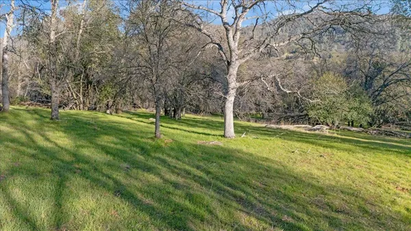 a big yard with lots of green space and trees