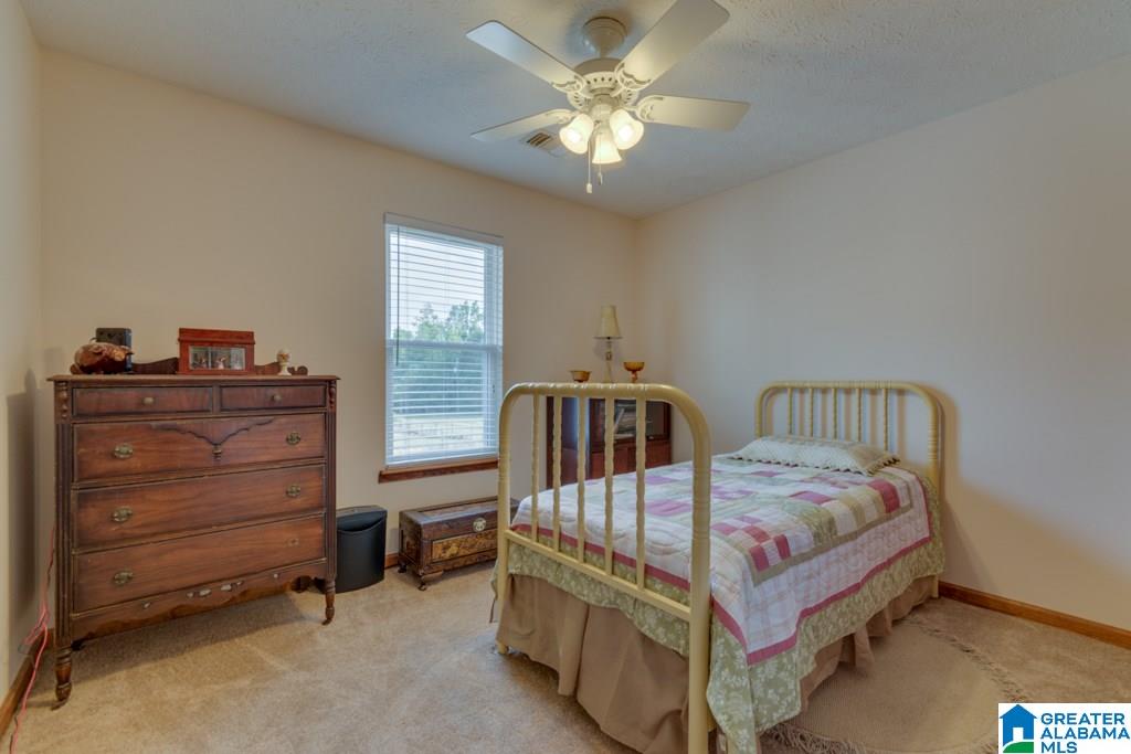 160 County Road 512 Verbena, AL 36091 - Photo 27 of 50