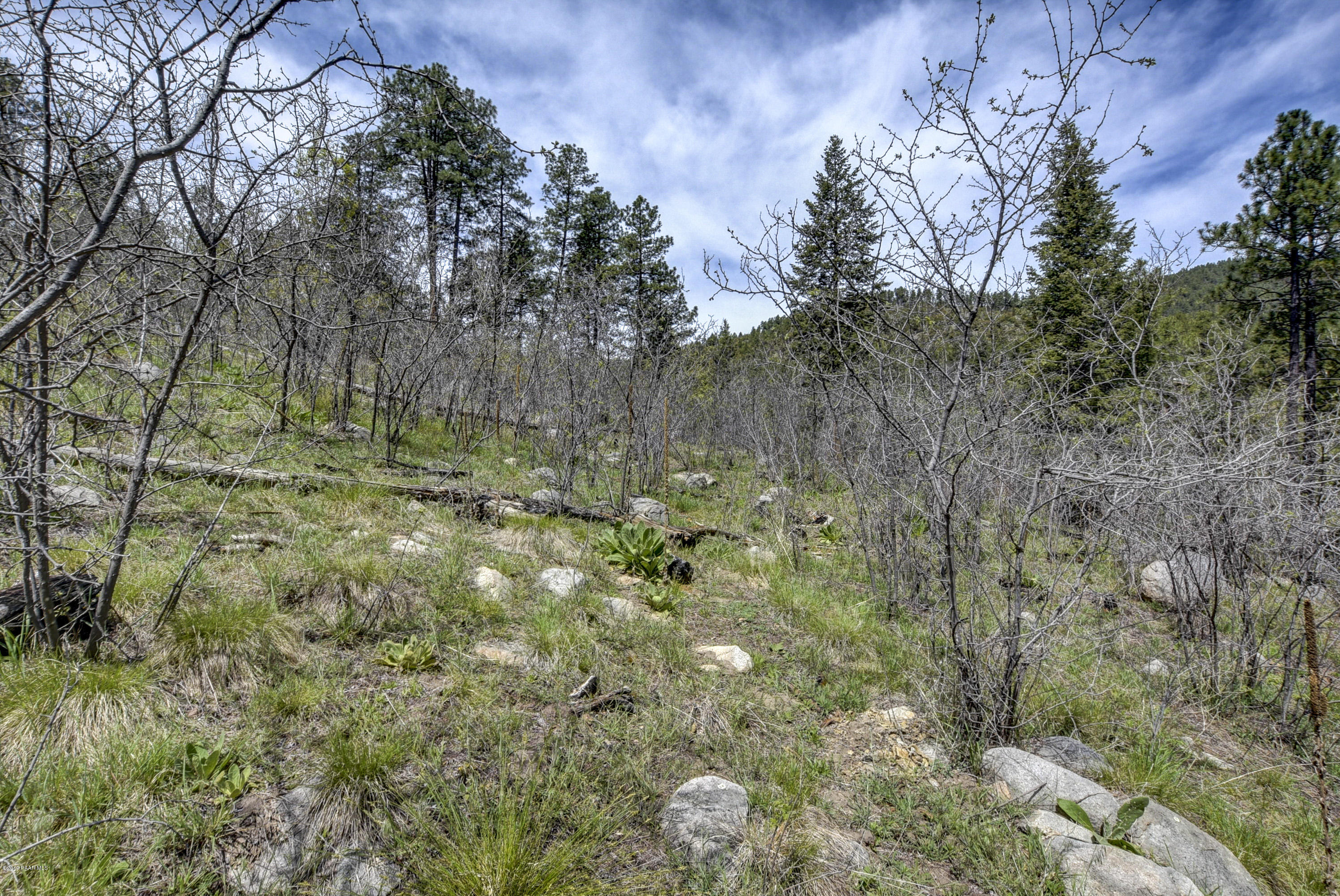 330-e East & F E Sheldon Road Prescott, AZ 86303 - Photo 5 of 8 Sheldon Road Lot