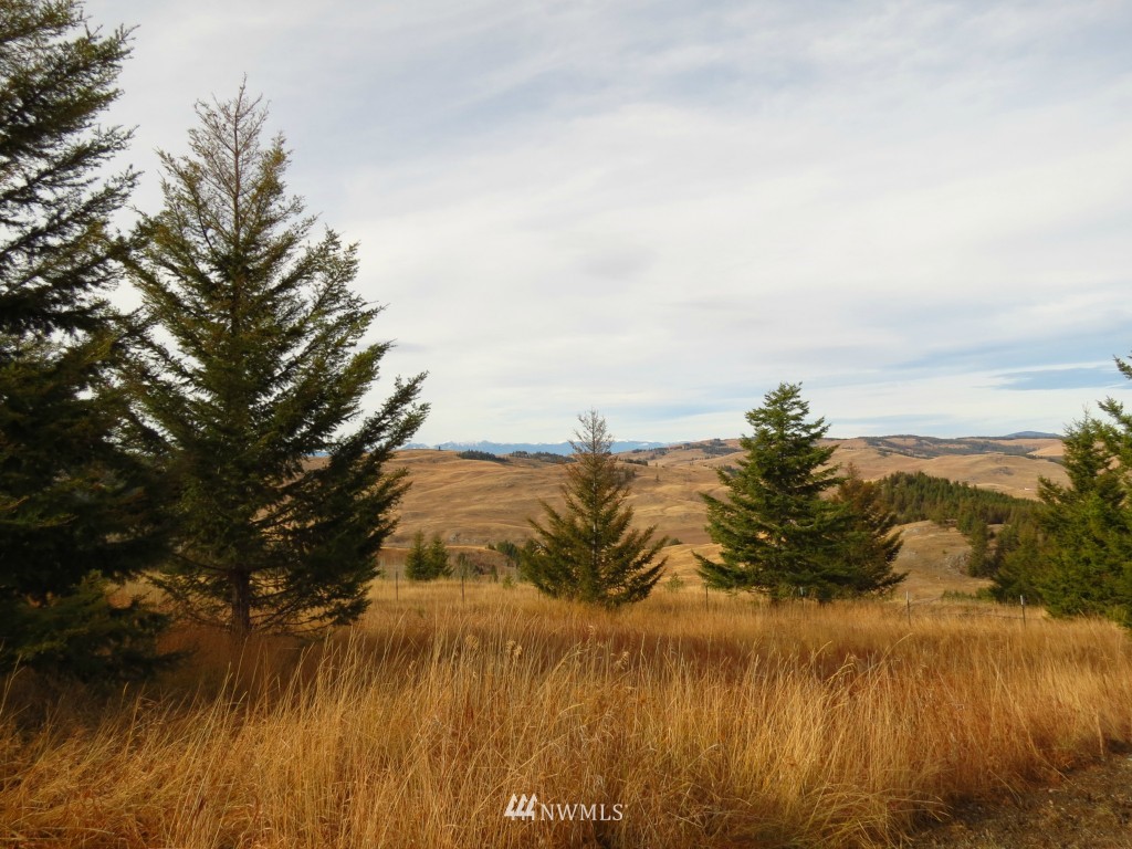 106 Turner Homestead Road Oroville, WA 98844 - Photo 14 of 15