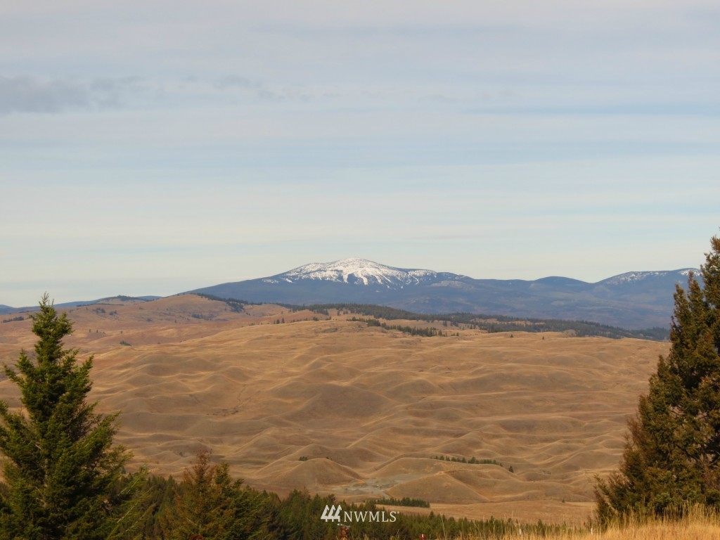 106 Turner Homestead Road Oroville, WA 98844 - Photo 4 of 15