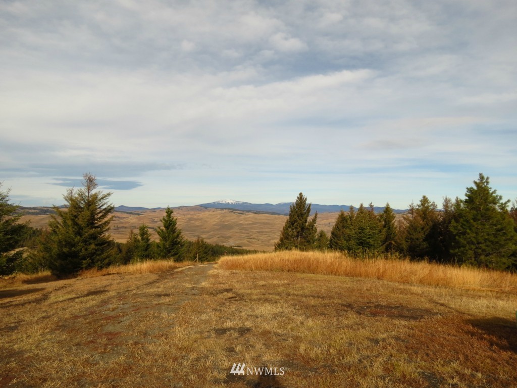 106 Turner Homestead Road Oroville, WA 98844 - Photo 5 of 15