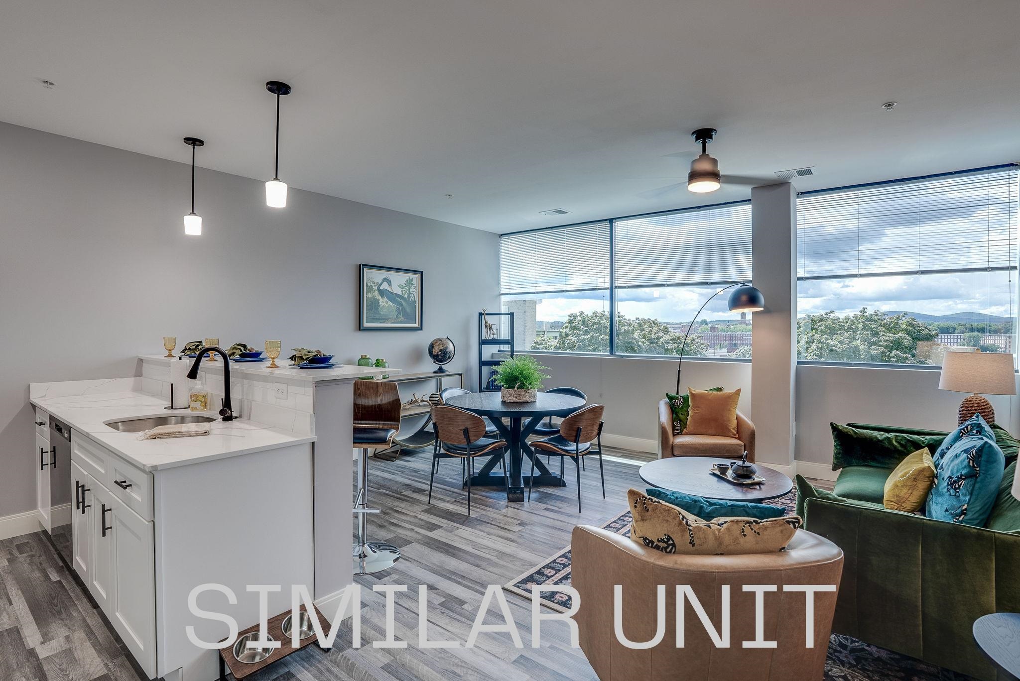 1230 Elm Street, Unit 411 Manchester, NH 03101 - Photo 6 of 19