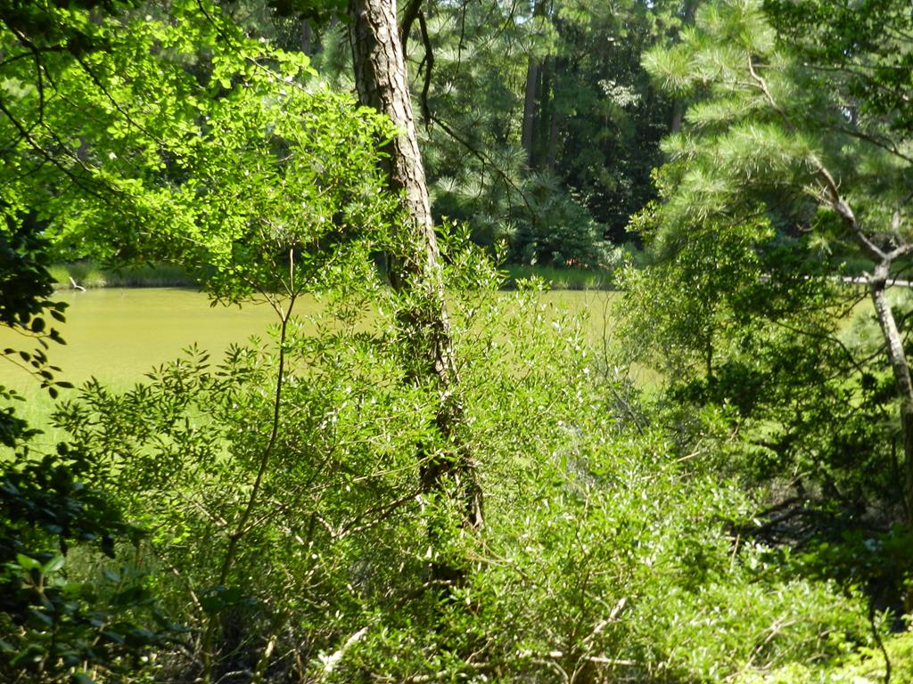 Lot B5 Saltworks Road, Unit B5 Exmore, VA 23350 - Photo 5 of 16