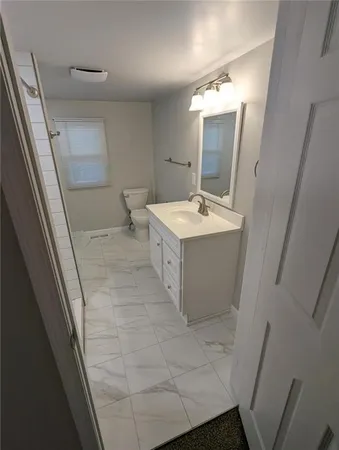 a bathroom with a sink a toilet a mirror and vanity