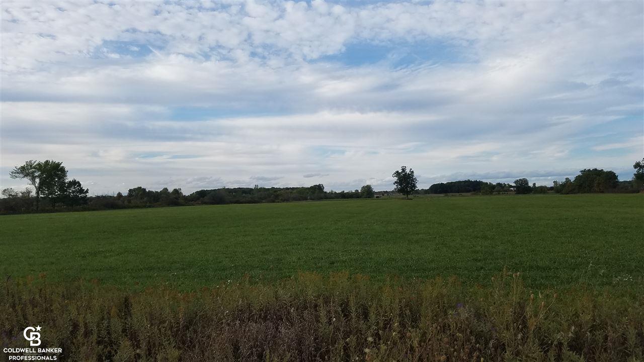 A-b Oatman Parc Avoca, MI 48006 - Photo 9 of 11