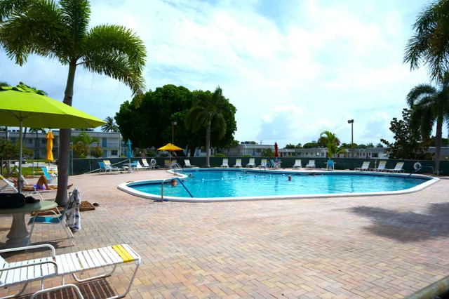 a view of a swimming pool with a lawn chairs under palm trees