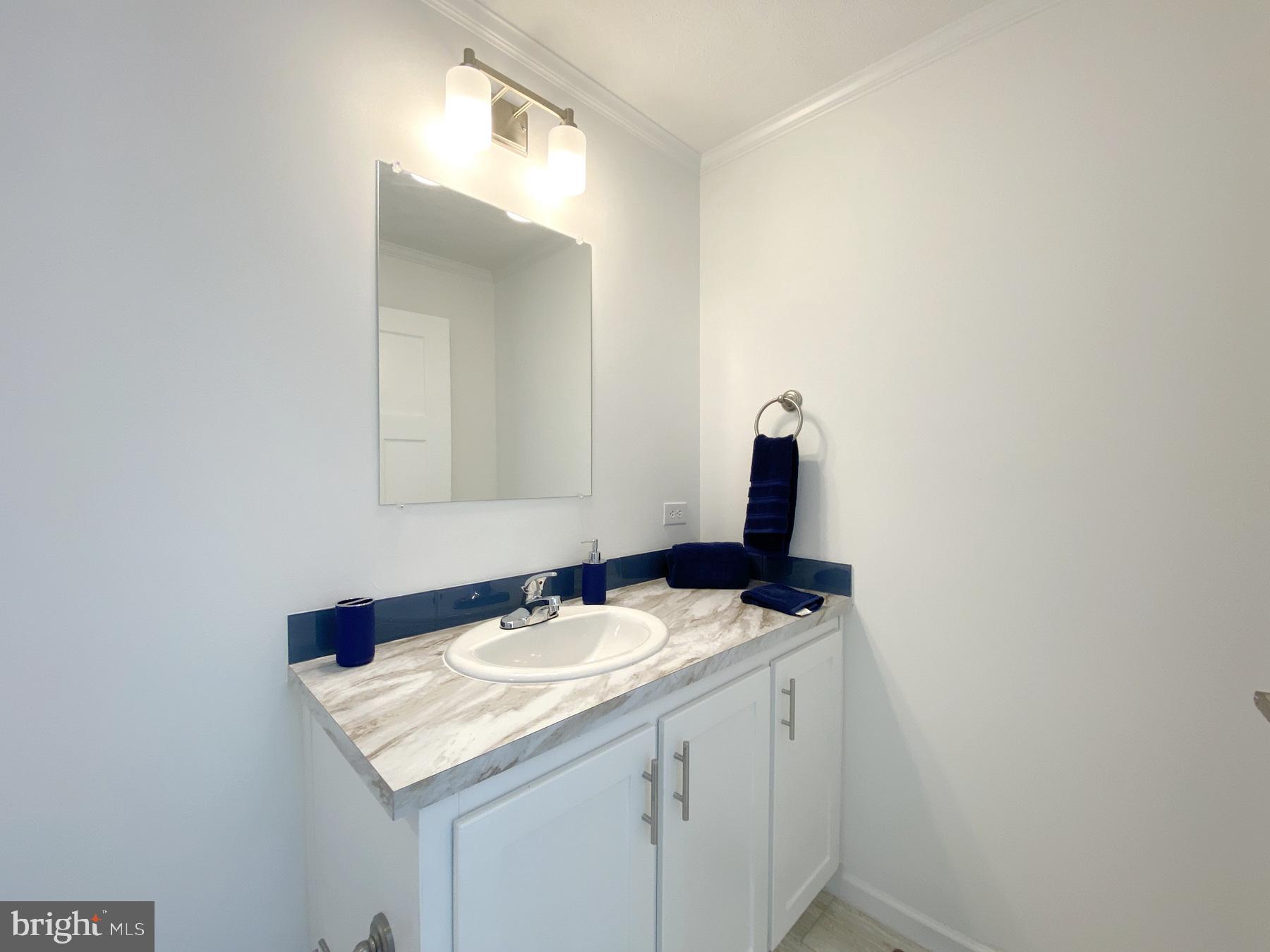 12 Carlisle Way Lewes, DE 19958 - Photo 15 of 25 Sleek and modern bathroom oasis.