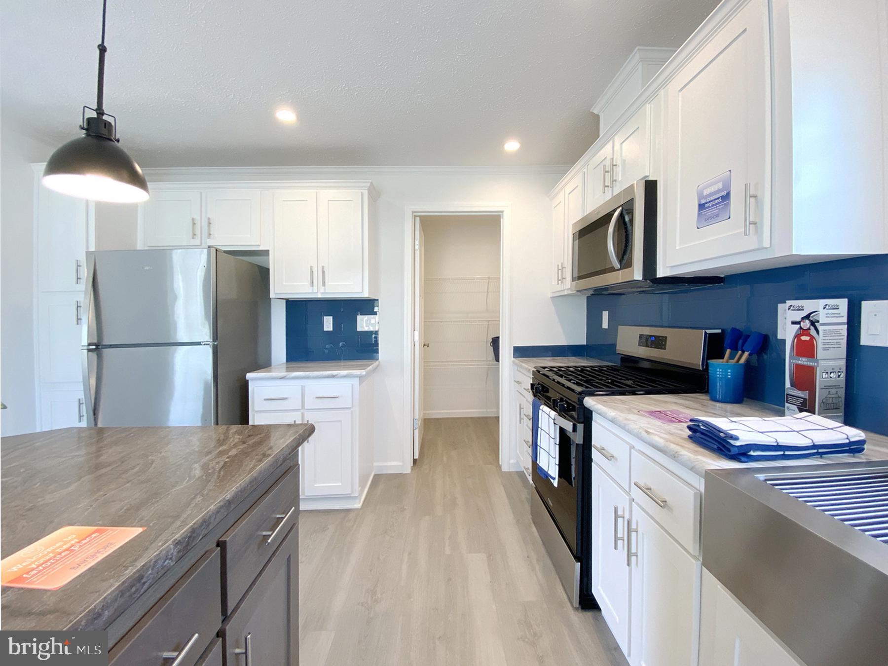 12 Carlisle Way Lewes, DE 19958 - Photo 8 of 25 Modern kitchen with sleek finishes.
