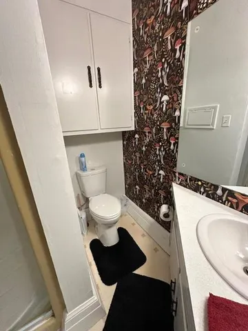 a bathroom with a sink a toilet and mirror