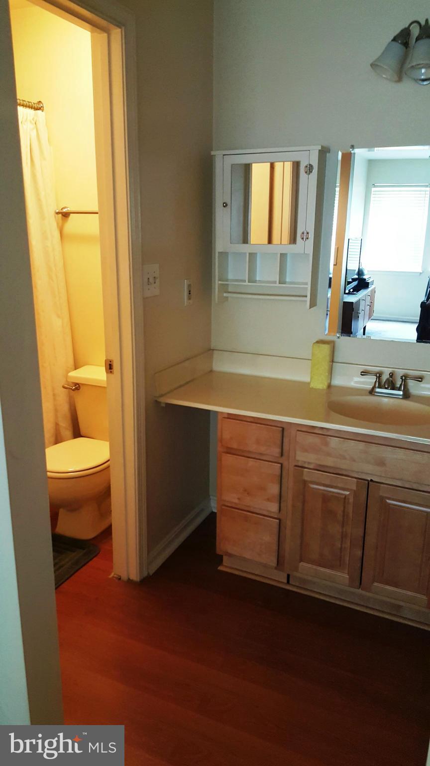 8583 Falls Run Road, Unit B Ellicott City, MD 21043 - Photo 13 of 20 Bath (Master)