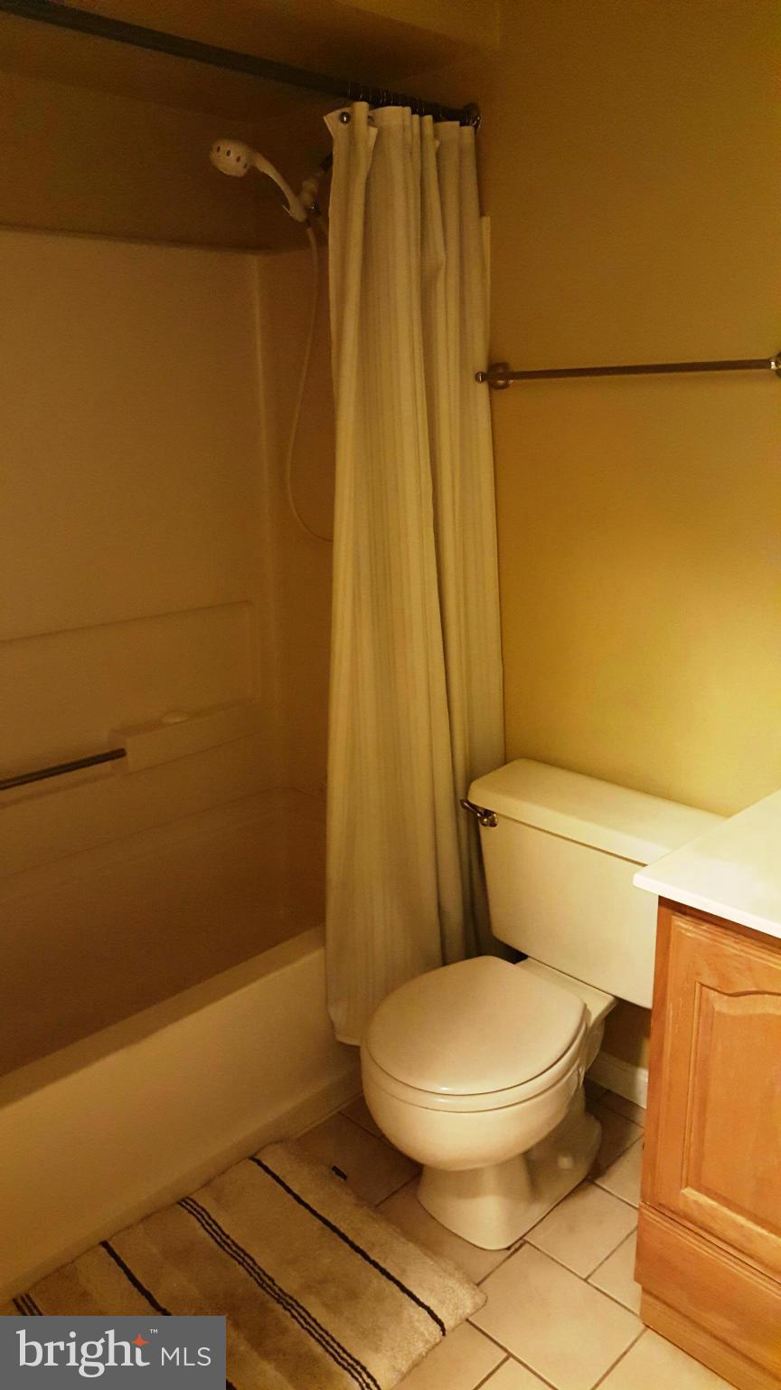 8583 Falls Run Road, Unit B Ellicott City, MD 21043 - Photo 17 of 20 Bath