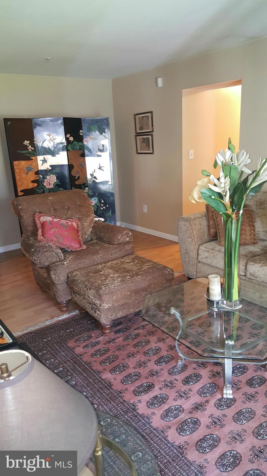 8583 Falls Run Road, Unit B Ellicott City, MD 21043 - Photo 4 of 20 Living Room