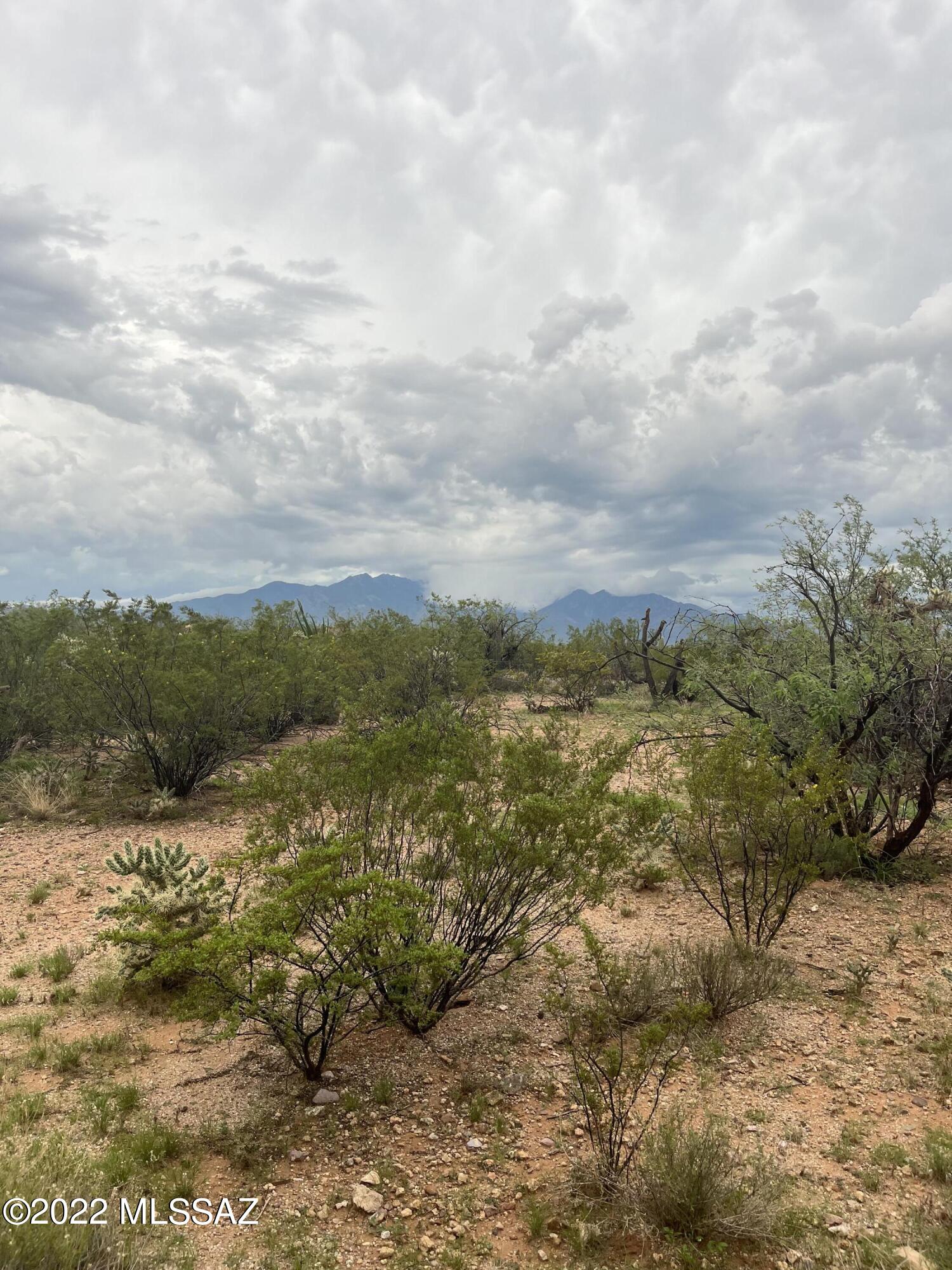 172 North Rustic Ridge Place, Unit 35 Sahuarita, AZ 85629 - Photo 8 of 14